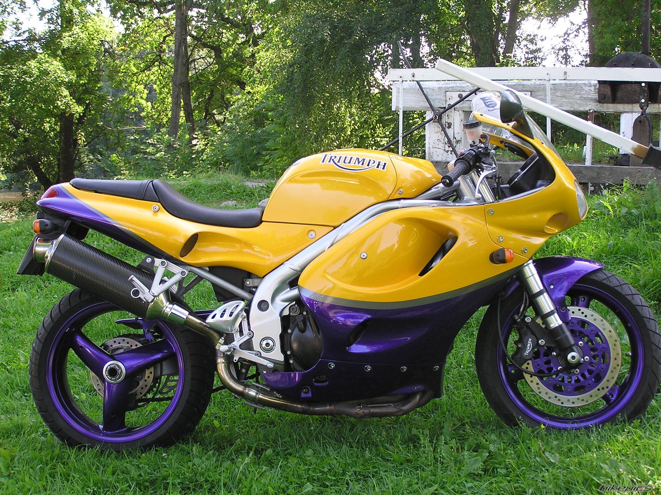 1997 TRIUMPH T 595 | Picture 594031 motorcycle photo