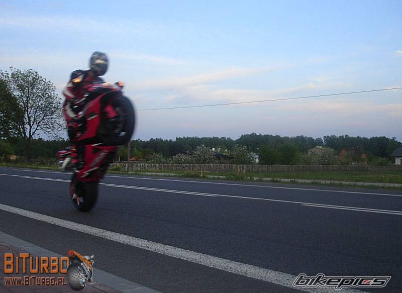 2007 SUZUKI GSX R 1000 | Picture 594040 motorcycle photo