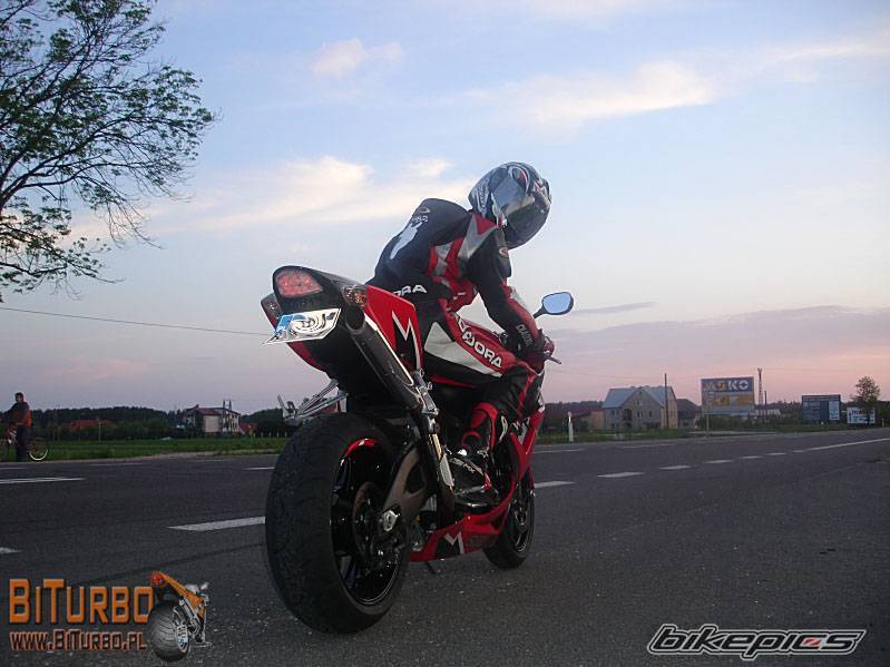 2007 SUZUKI GSX R 1000 | Picture 594046 motorcycle photo