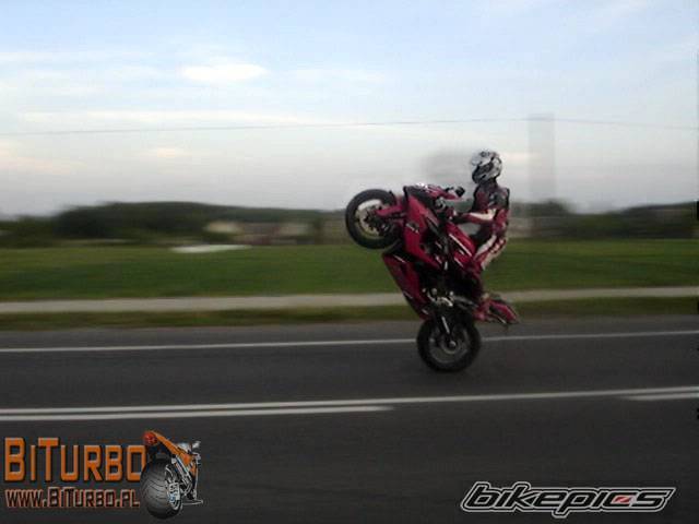 2007 SUZUKI GSX R 1000 | Picture 594050 motorcycle photo