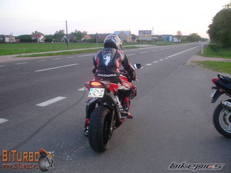 2007 SUZUKI GSX R 1000 | Picture 594054 motorcycle photo