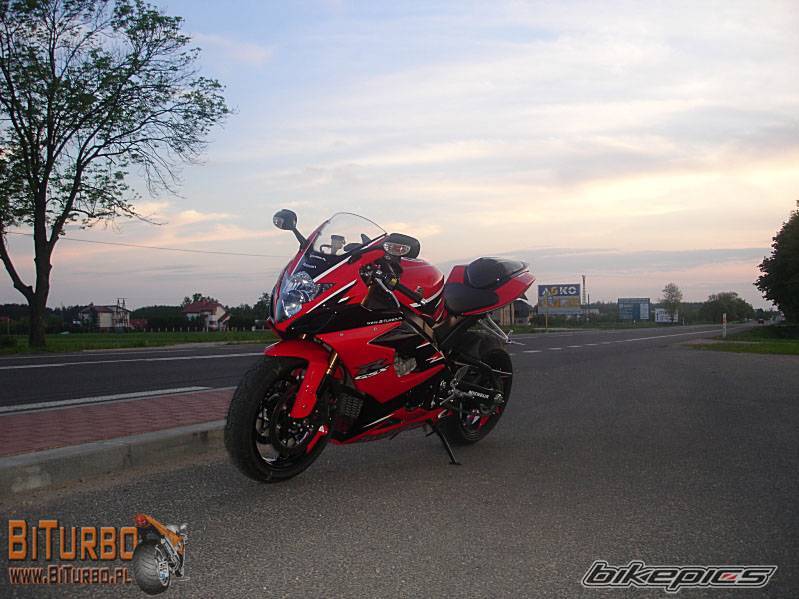 2007 SUZUKI GSX R 1000 | Picture 594055 motorcycle photo
