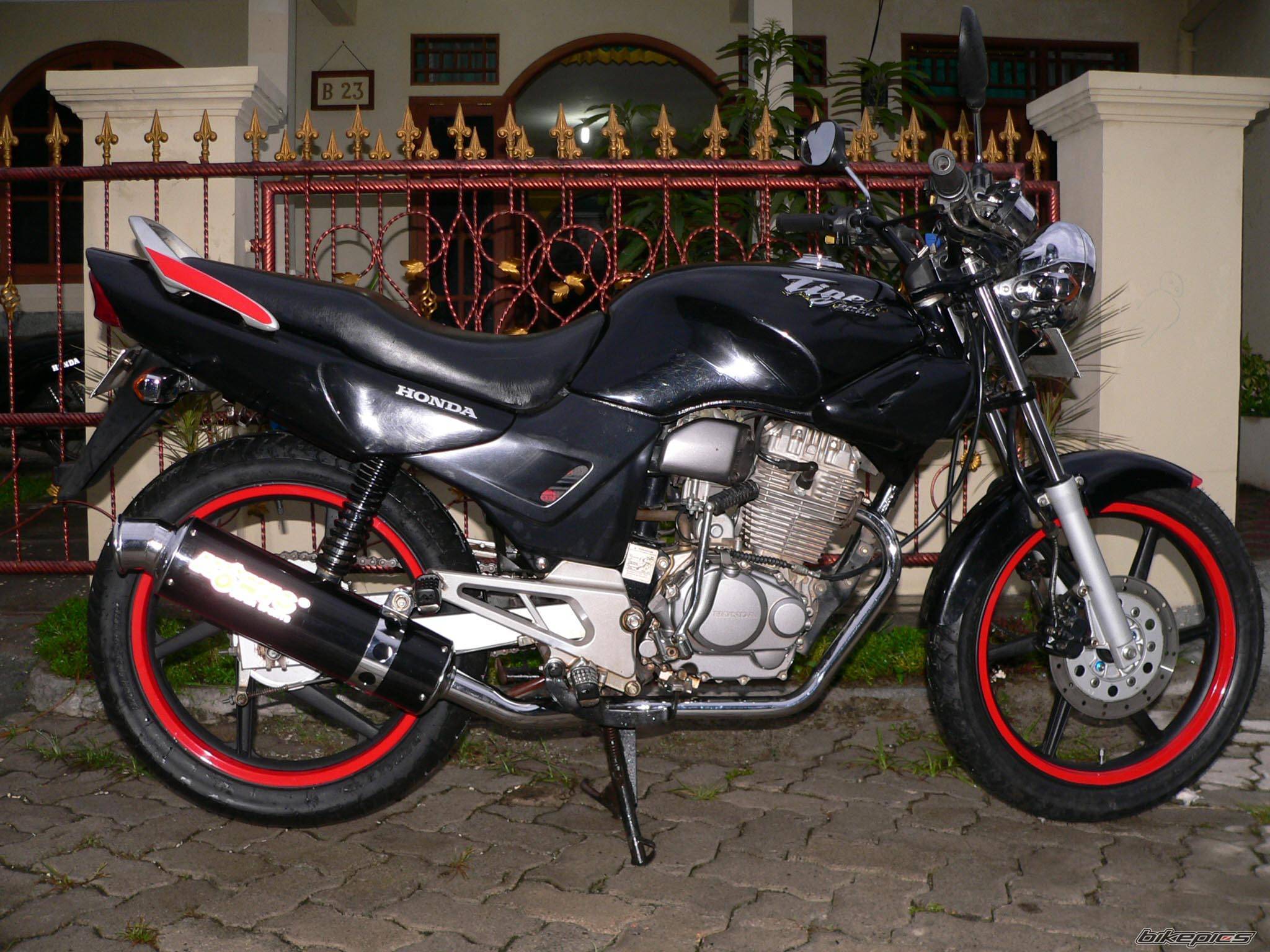 2003 HONDA TIGER | Picture 594193 motorcycle photo