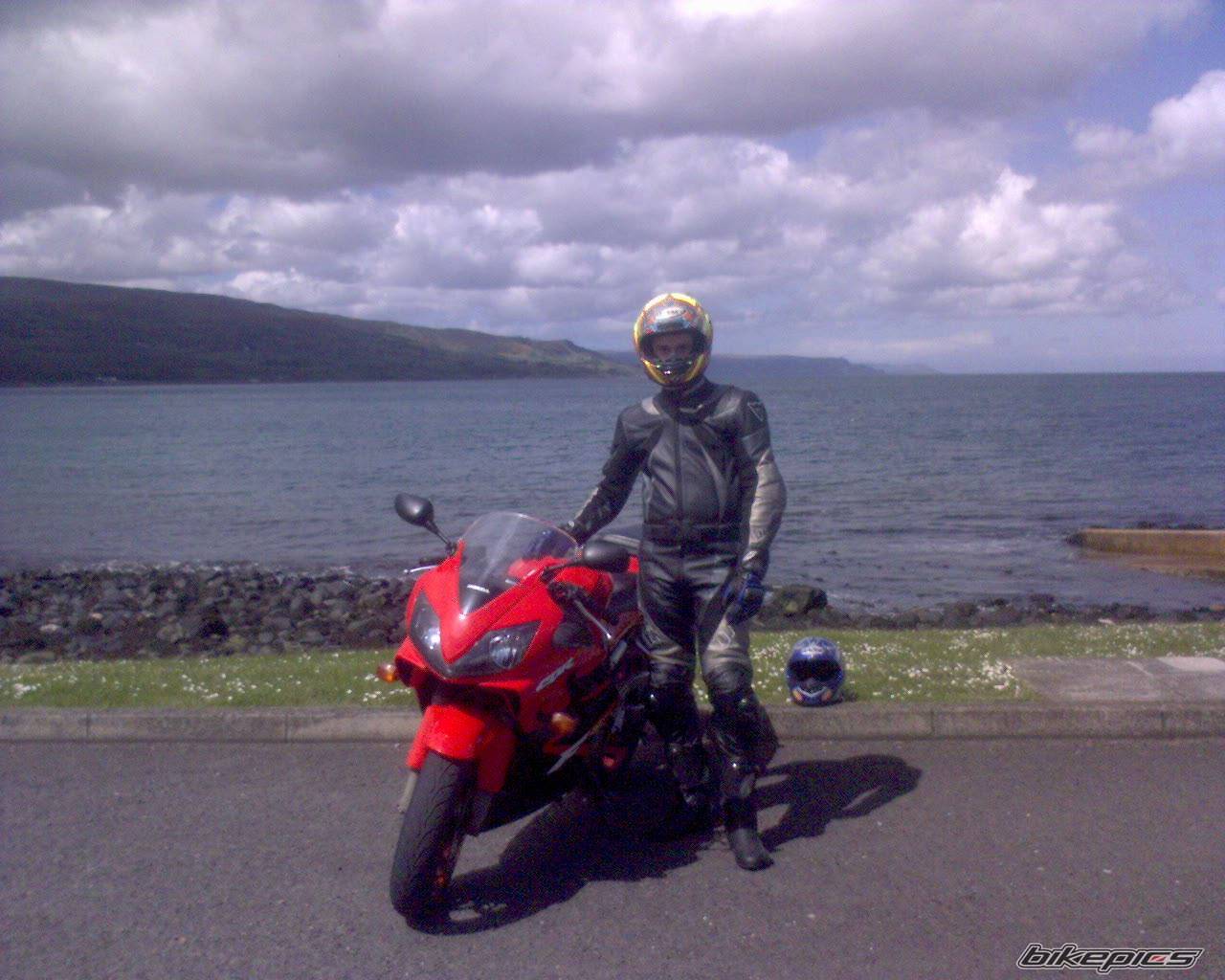 2001 HONDA CBR 600 | Picture 594416 motorcycle photo