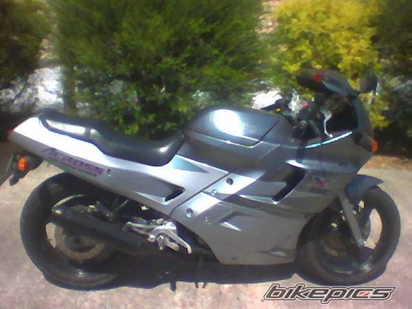 1996 SUZUKI GSX 250 ACROSS | Picture 594728 motorcycle photo