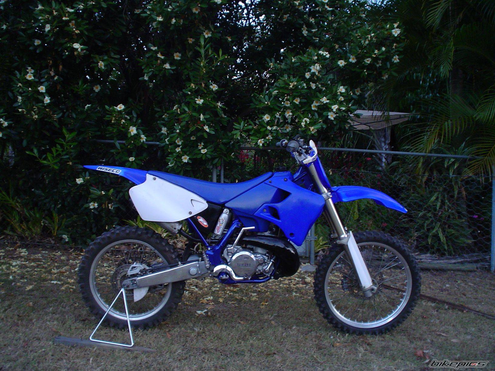 1997 YAMAHA WR 250 | Picture 594777 motorcycle photo