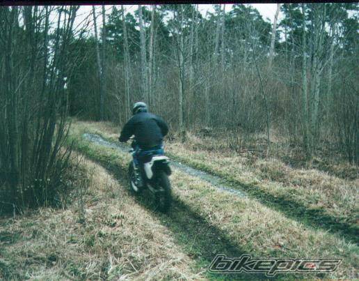 1993 YAMAHA YZ 125 | Picture 5952 motorcycle photo