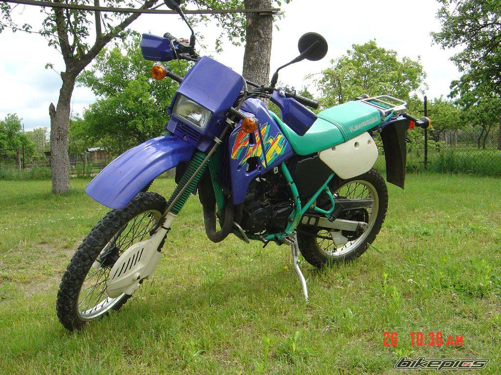 1997 KAWASAKI KMX 125 | Picture 595434 motorcycle photo