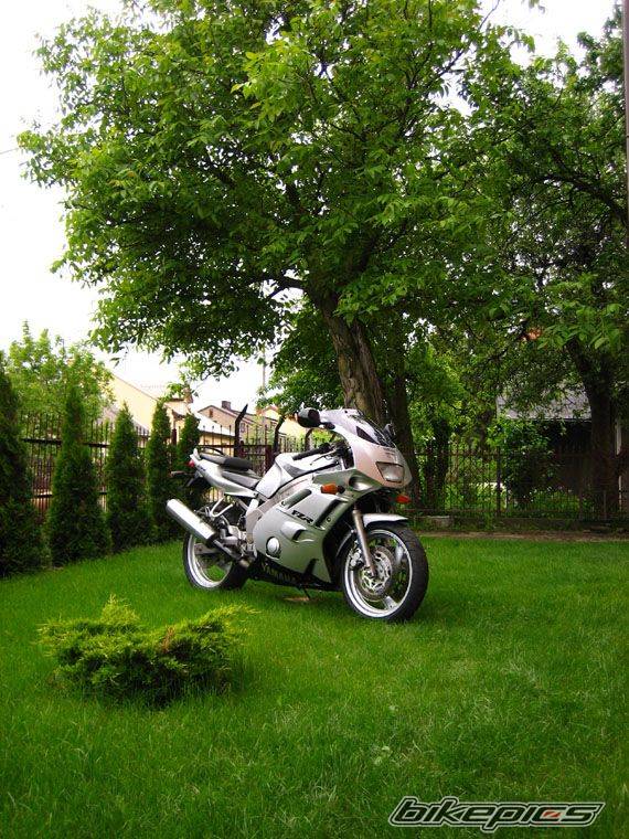 1992 YAMAHA FZR 600 | Picture 595531 motorcycle photo