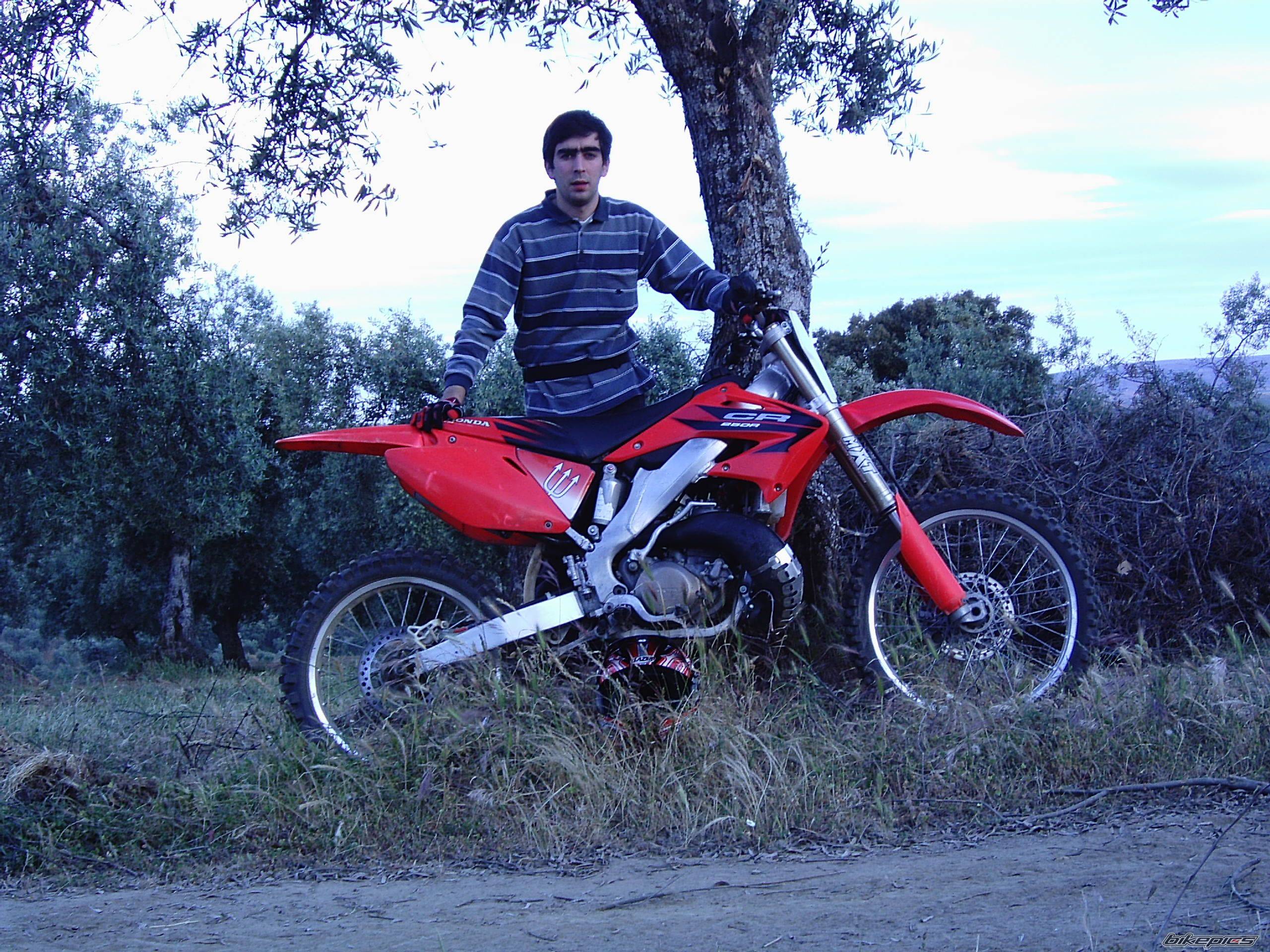 2002 HONDA CR 250 | Picture 595817 motorcycle photo