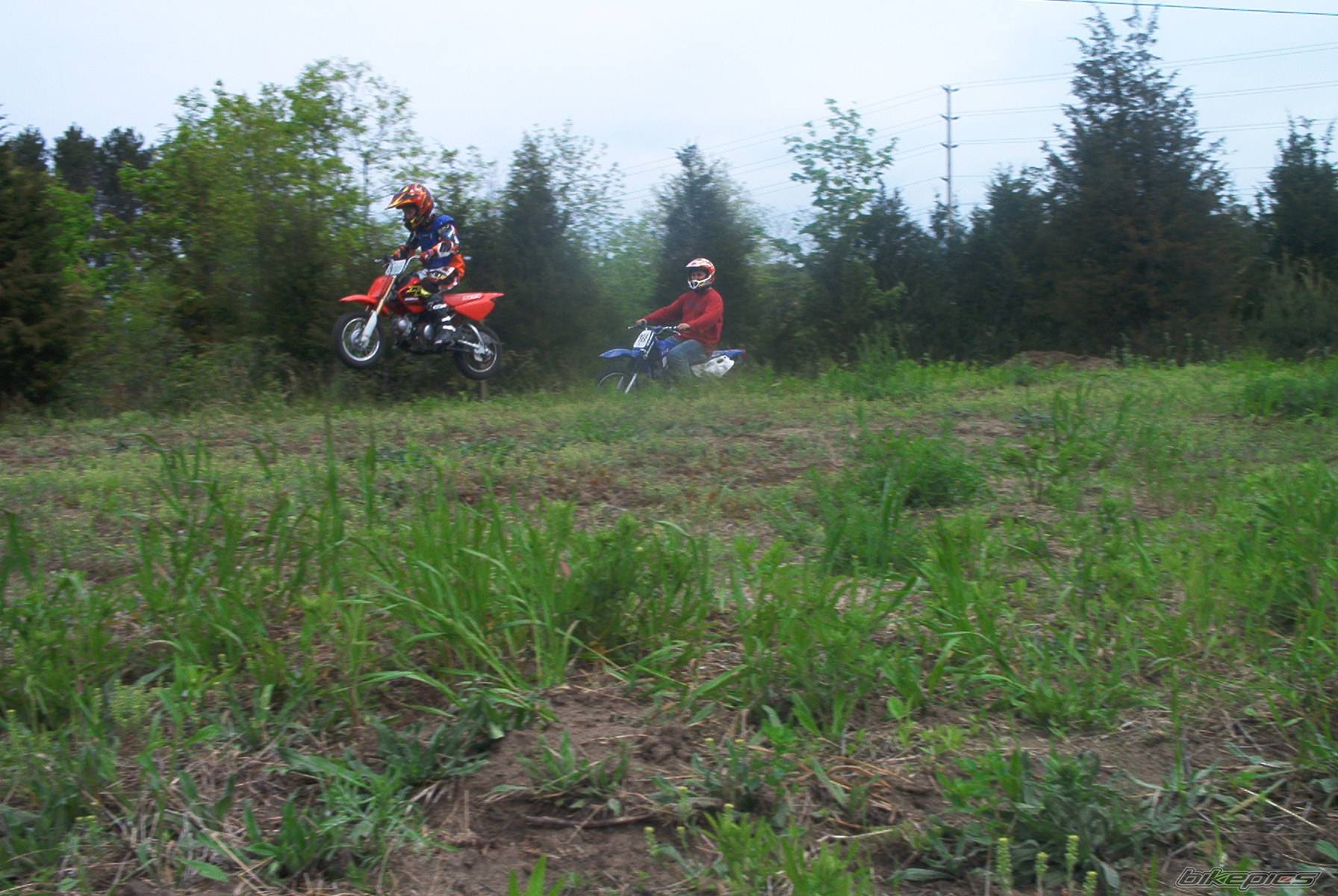2000 HONDA XR 50 | Picture 59590 motorcycle photo