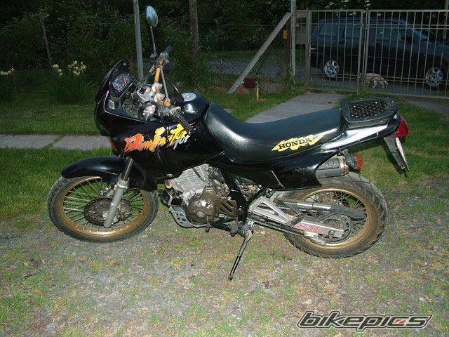 1993 HONDA NX 650 DOMINATOR | Picture 596107 motorcycle photo