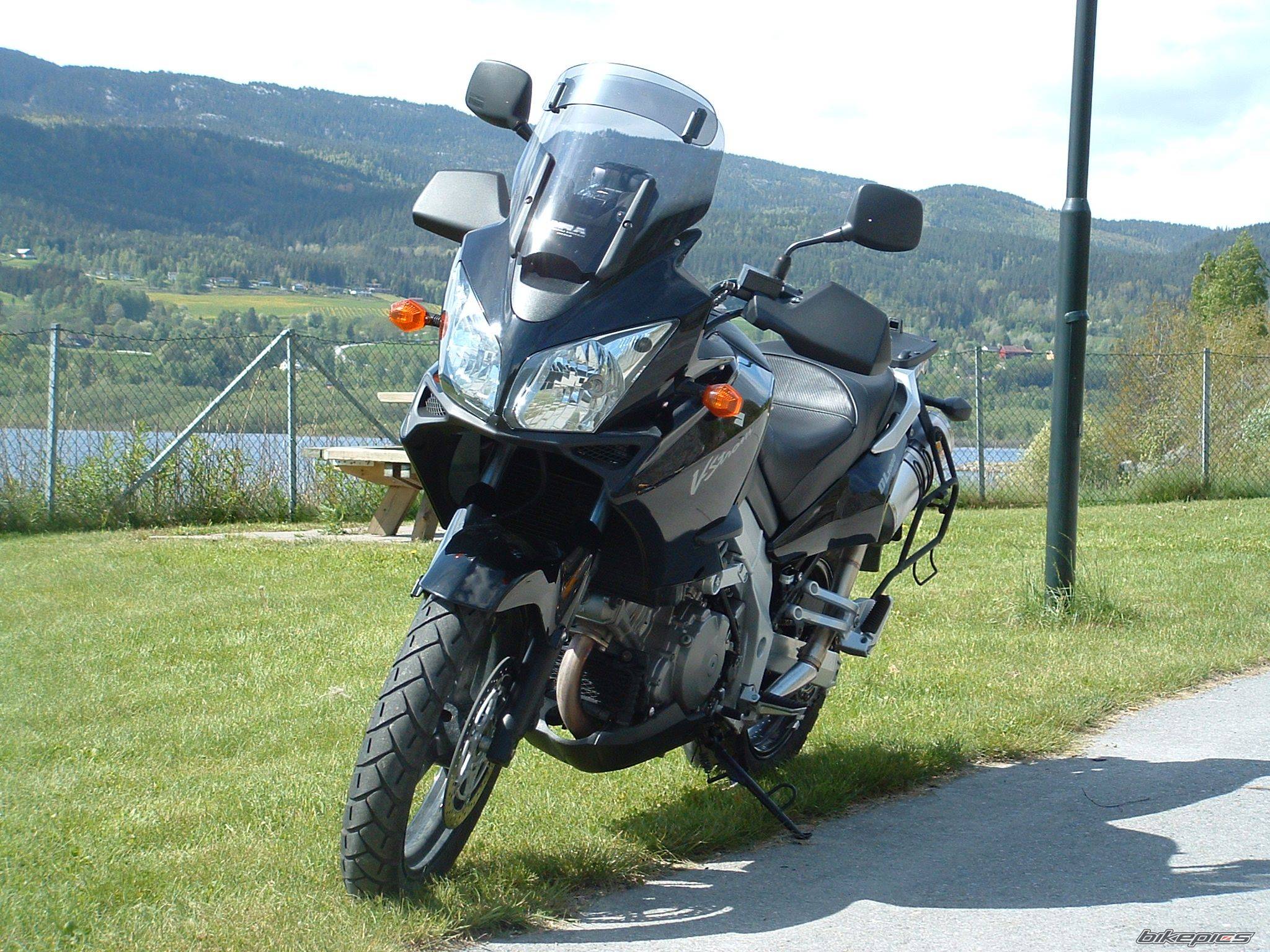 2004 SUZUKI DL 1000 | Picture 596323 motorcycle photo