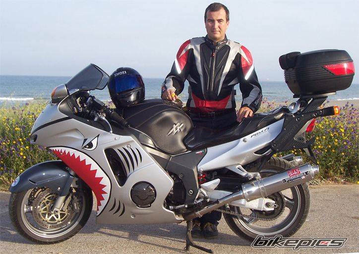 2001 HONDA CBR 1100 BLACKBIRD | Picture 596475 motorcycle photo
