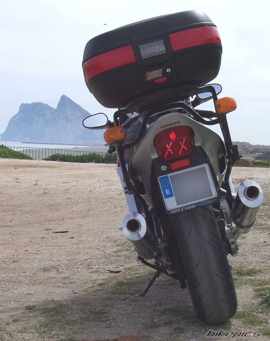 2001 HONDA CBR 1100 BLACKBIRD | Picture 596480 motorcycle photo