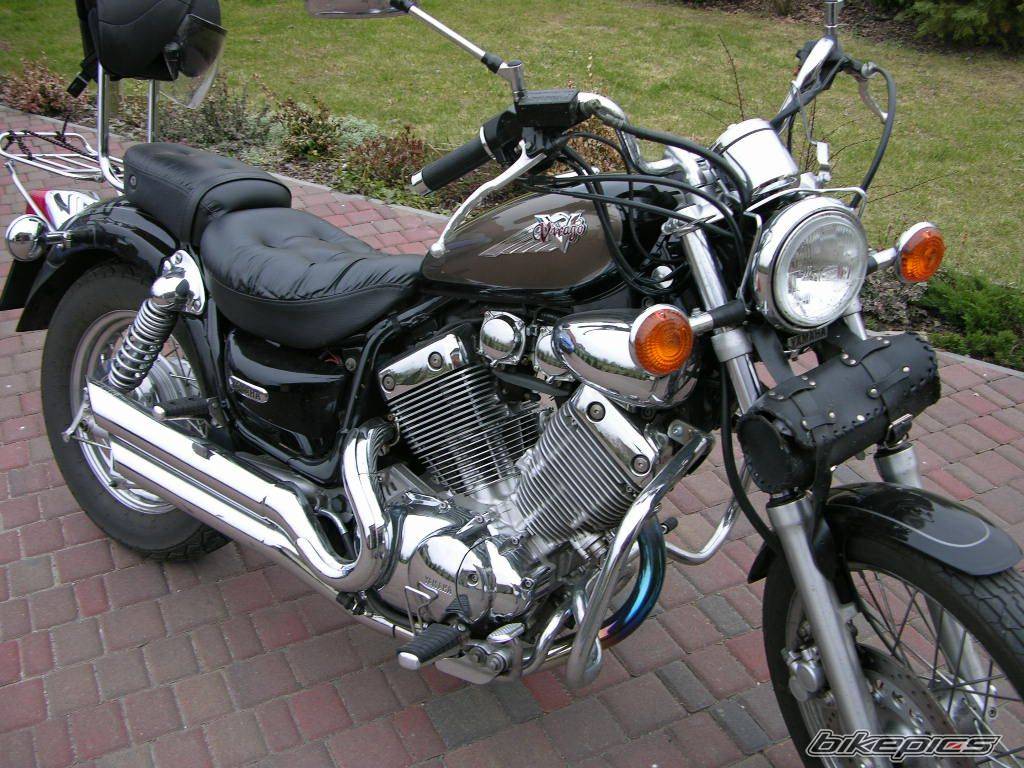 2003 YAMAHA VIRAGO 535 | Picture 596862 motorcycle photo