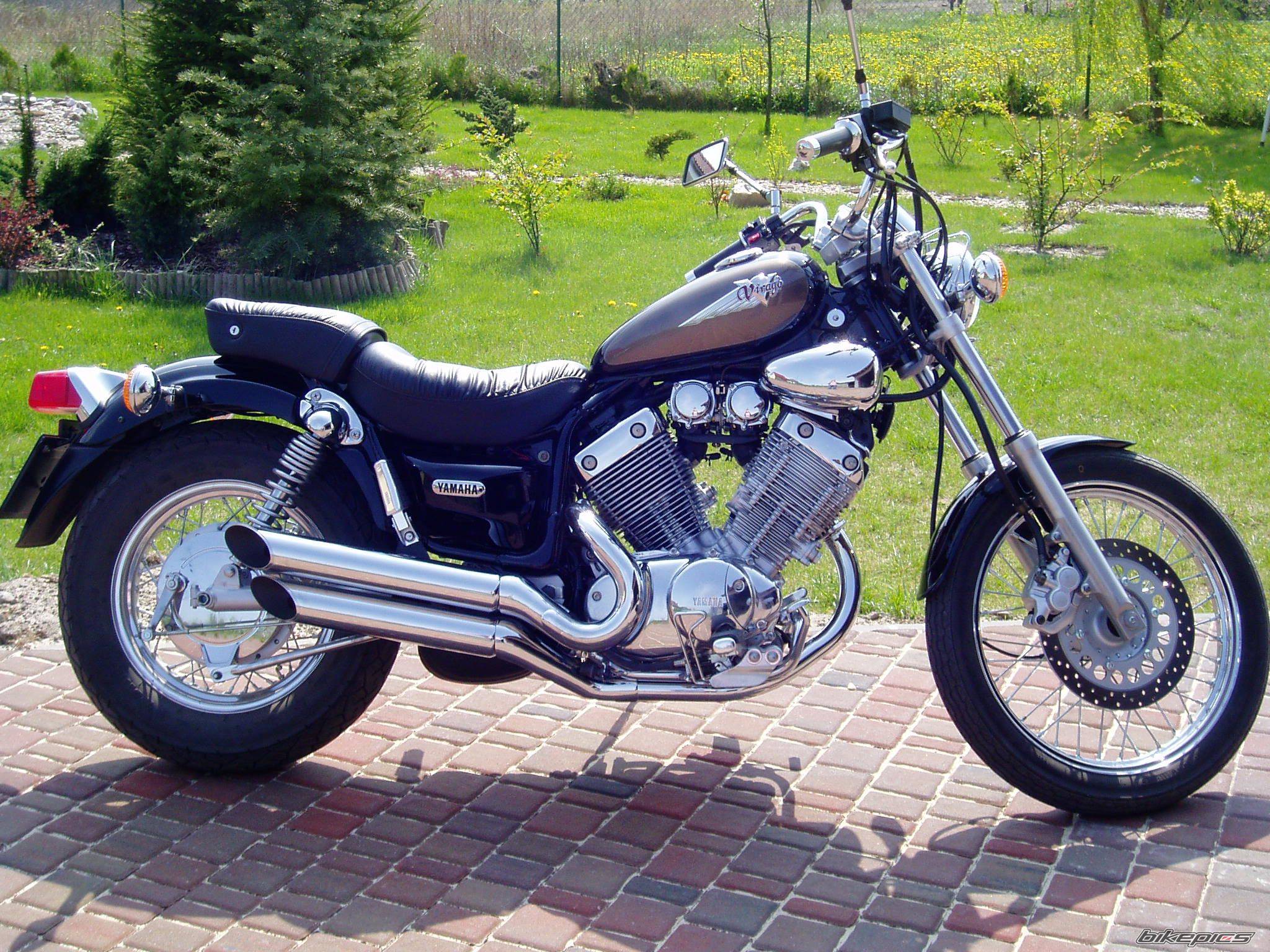 2003 YAMAHA VIRAGO 535 | Picture 596864 motorcycle photo