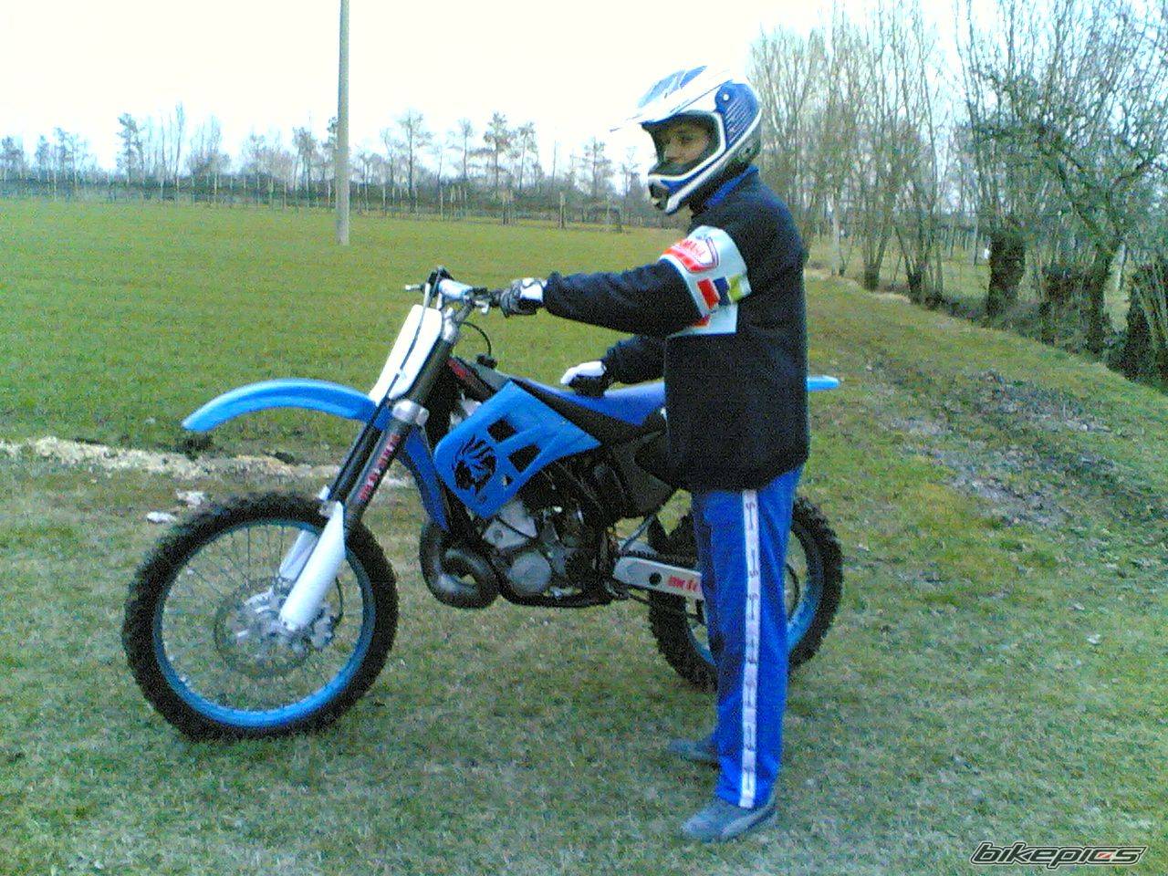 1999 TM TM250 2T CROSS | Picture 596950 motorcycle photo