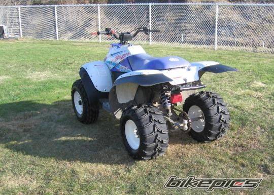 1994 POLARIS TRAIL BLAZER 250 | Picture 597206 motorcycle photo