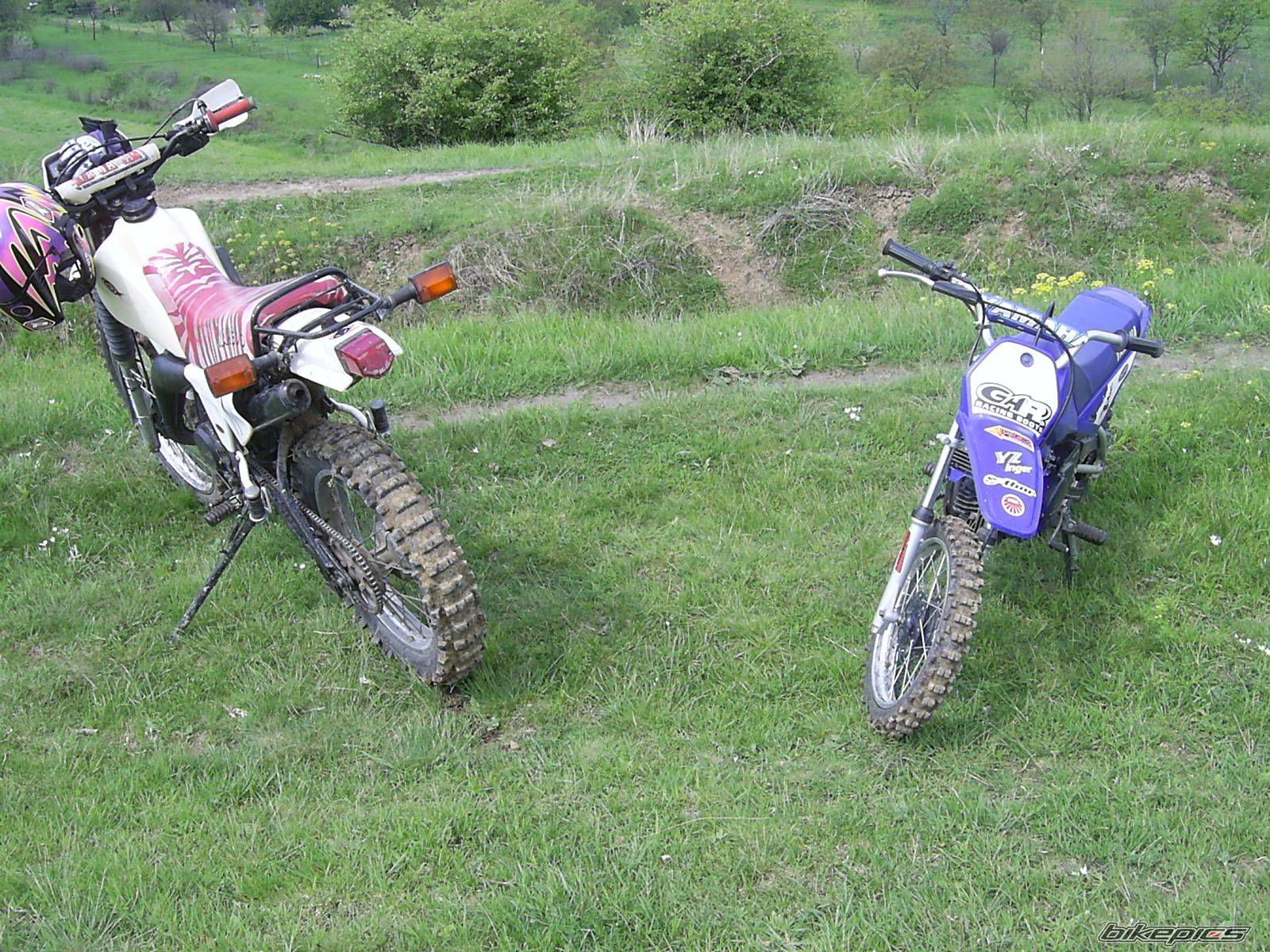 2001 YAMAHA PW 80 | Picture 597323 motorcycle photo