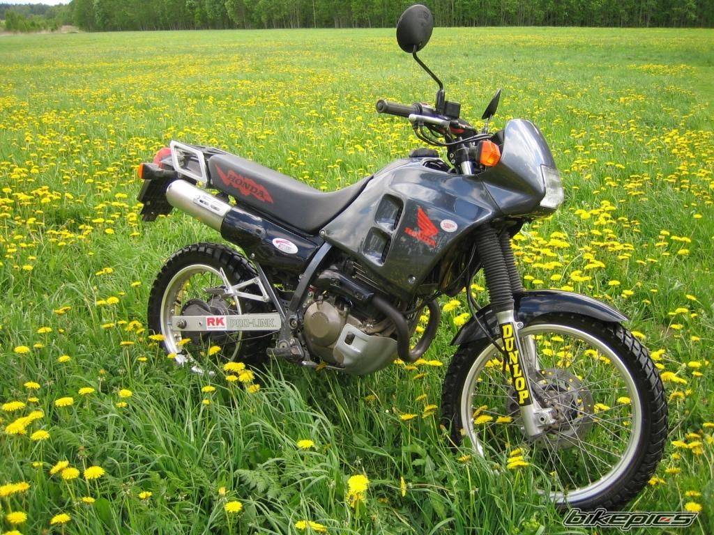 1994 HONDA NX 250 | Picture 597428 motorcycle photo