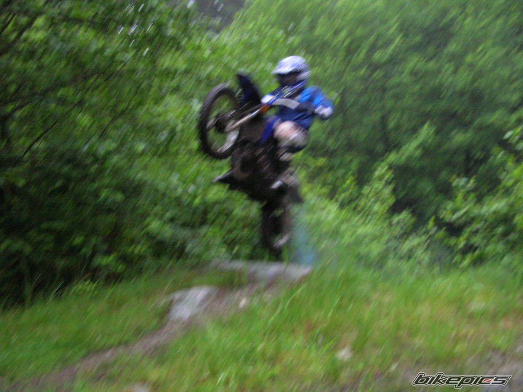 2001 YAMAHA PW 80 | Picture 597459 motorcycle photo