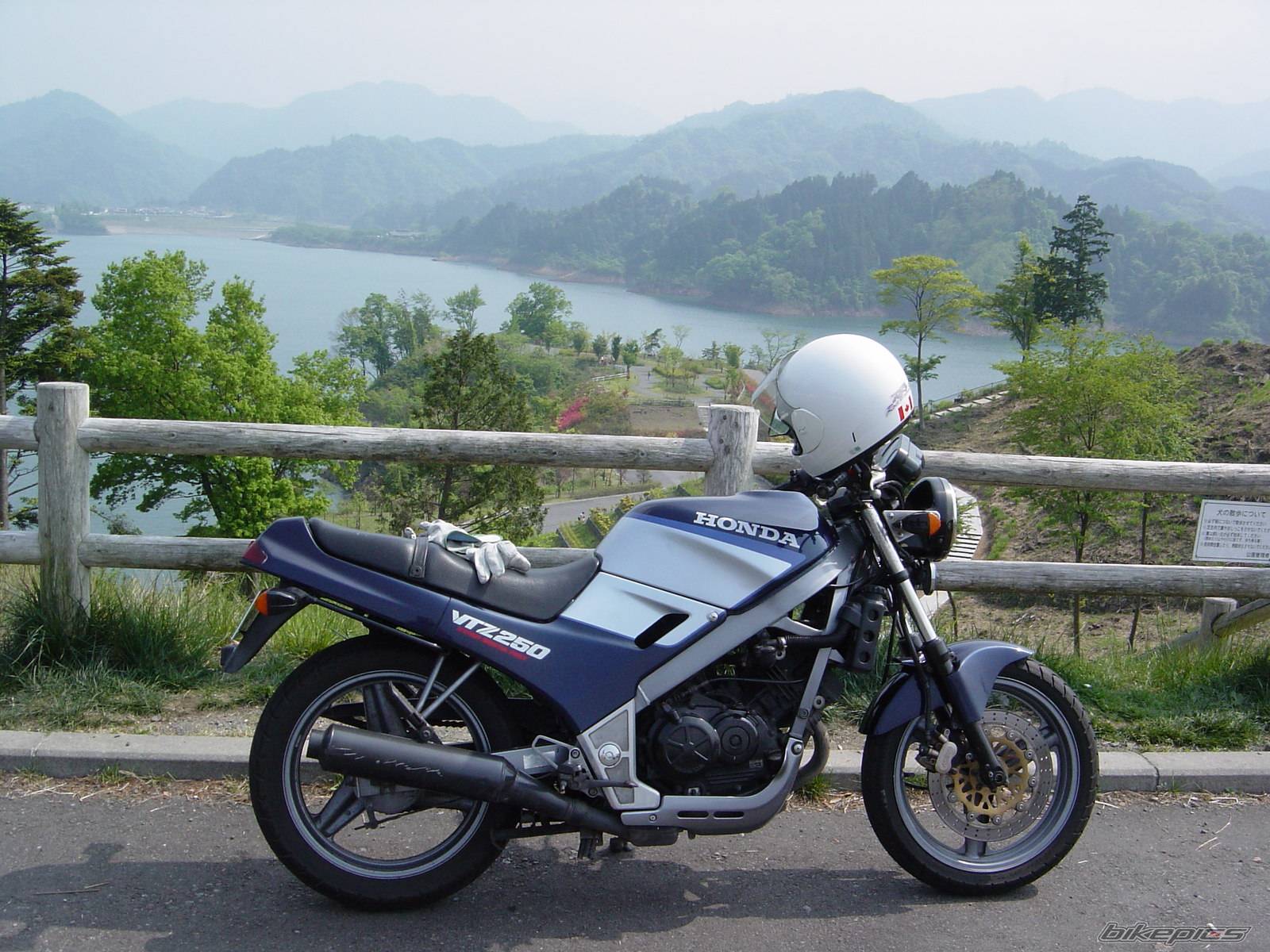 1988 HONDA VTZ 250 | Picture 59805 motorcycle photo