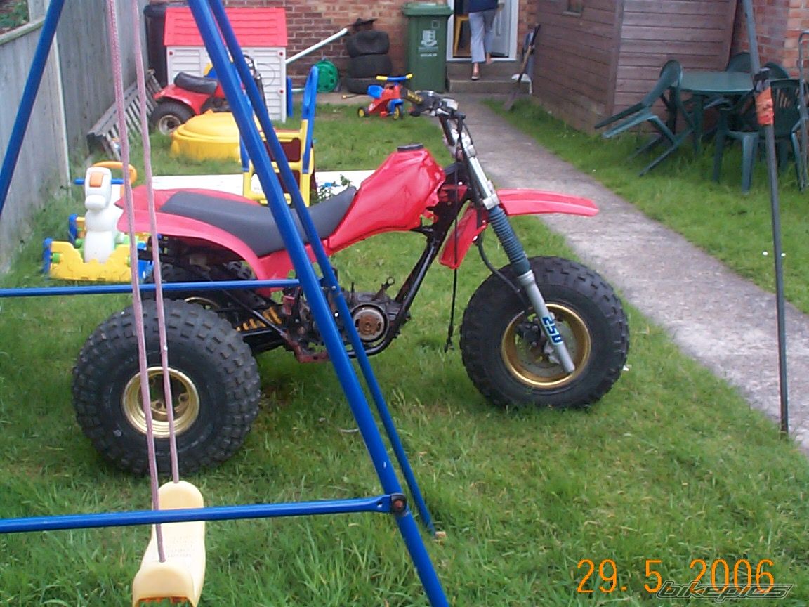 1982 HONDA ATC 250 | Picture 598373 motorcycle photo