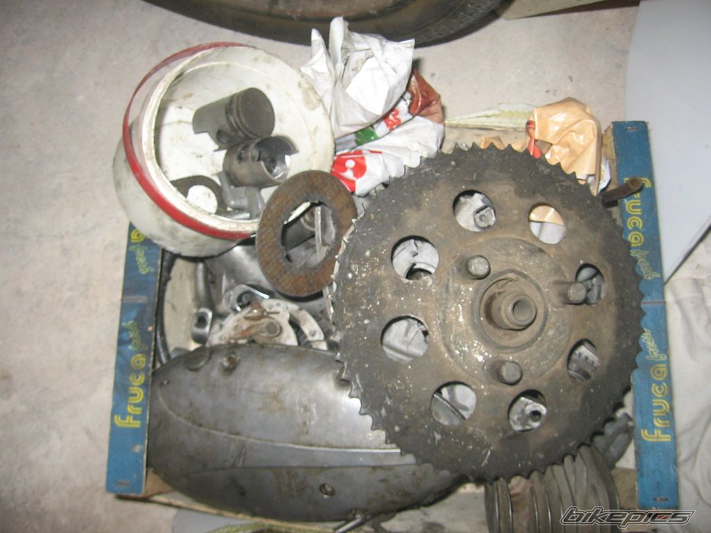 1977 JAWA MUSTANG 50 | Picture 598474 motorcycle photo