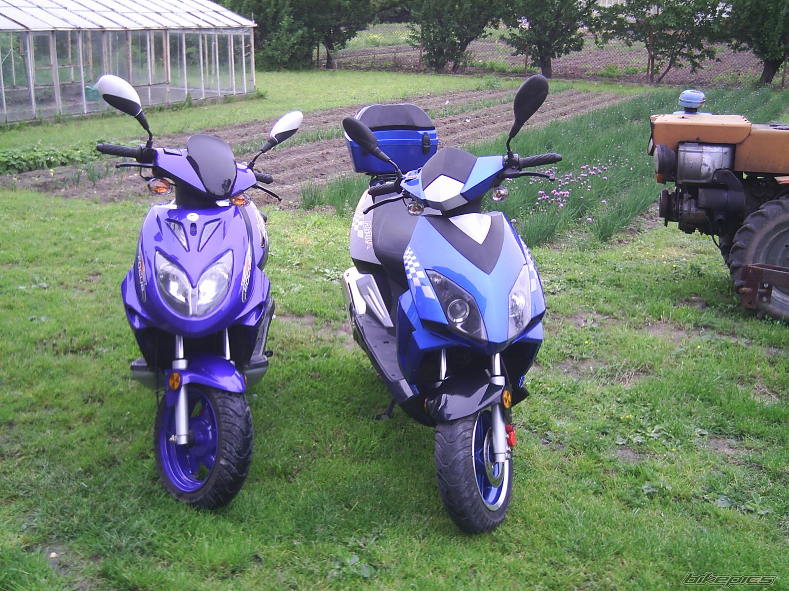 2006 KEEWAY FOCUS 50 | Picture 598639 motorcycle photo