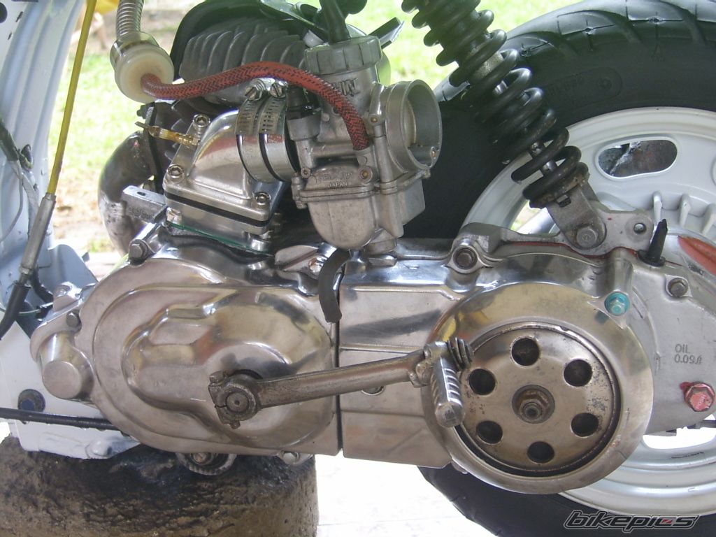 2006 HONDA DIO 50 | Picture 598702 motorcycle photo