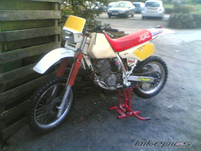 1991 HONDA XR 250 | Picture 598932 motorcycle photo