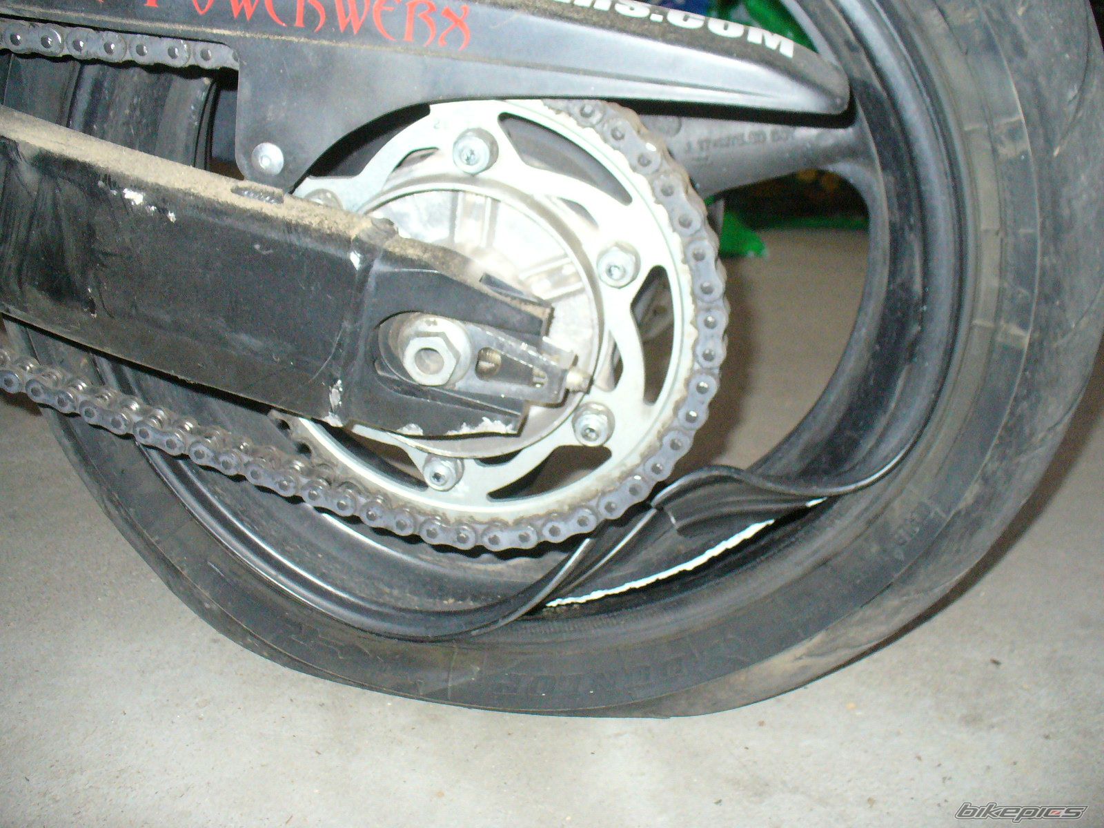 2002 HONDA CBR 600 | Picture 599170 motorcycle photo