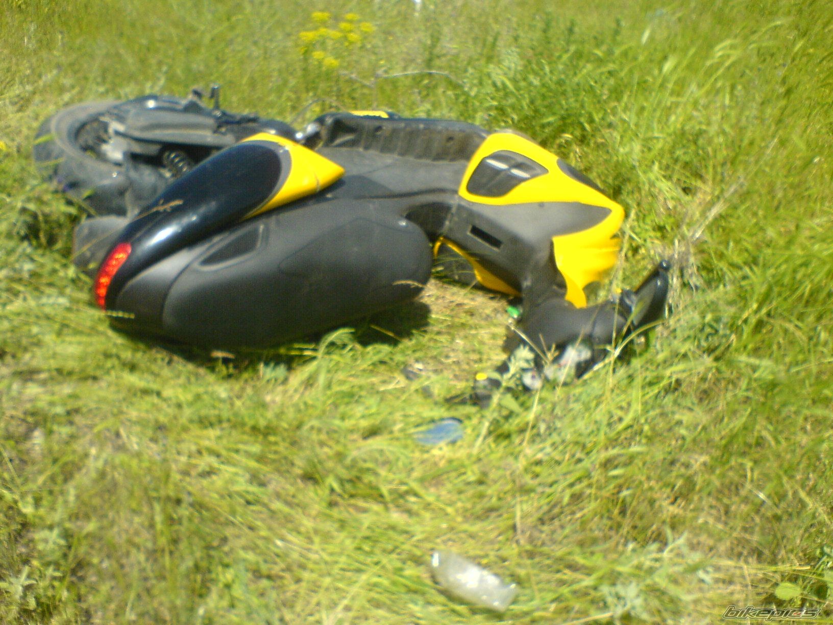 2003 BENELLI 491 | Picture 599274 motorcycle photo