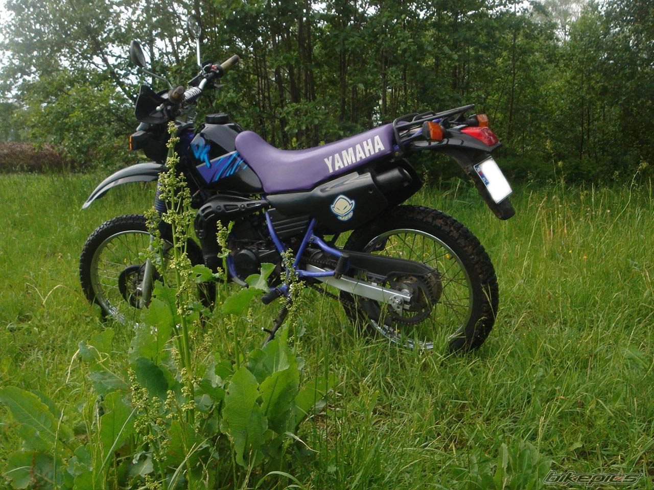 1995 YAMAHA DT 80 | Picture 599429 motorcycle photo