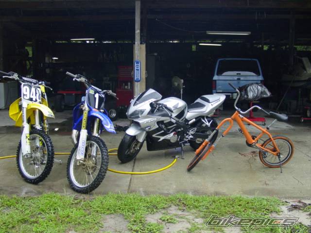 2001 YAMAHA YZ 125 | Picture 59990 motorcycle photo