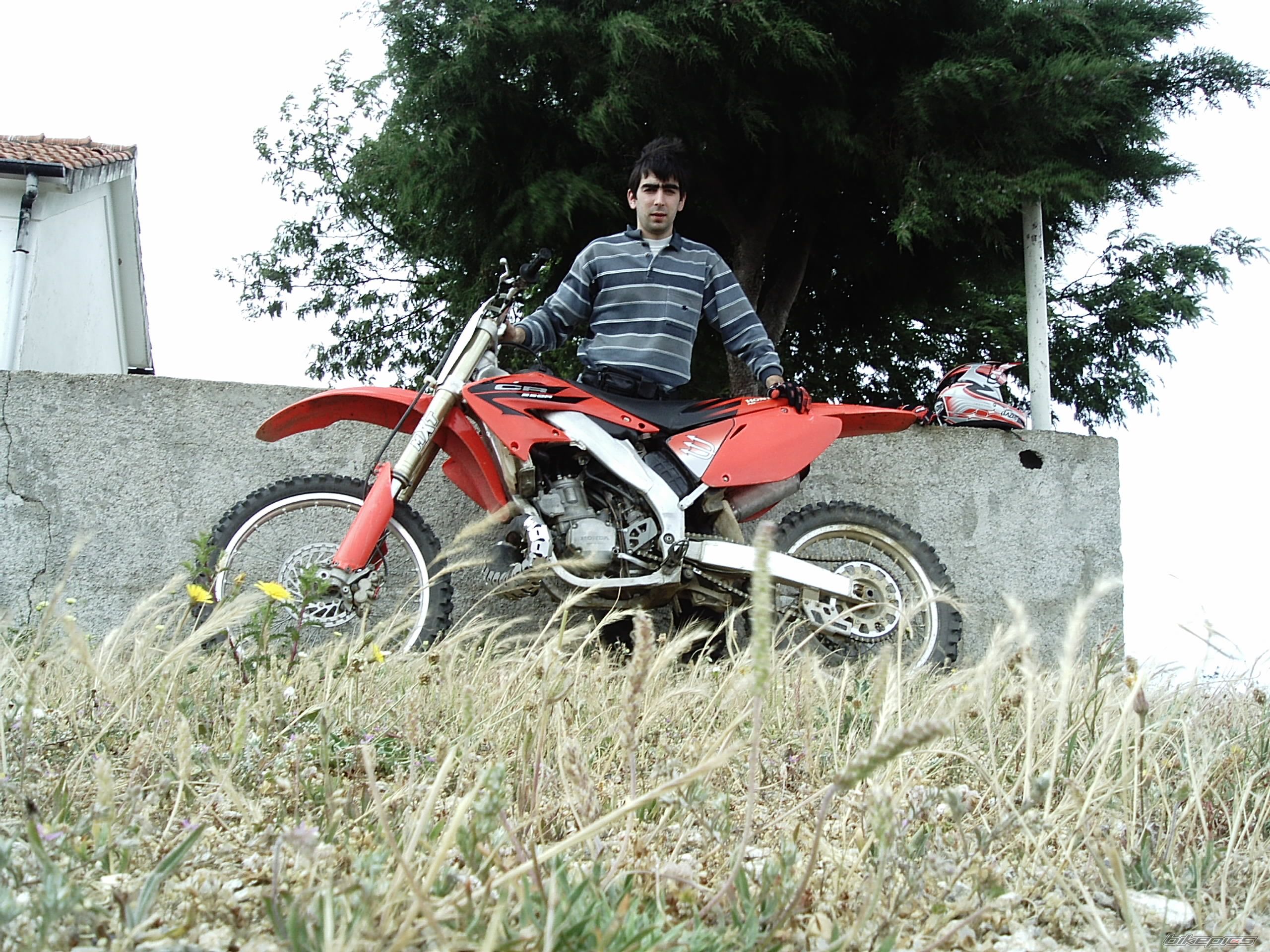 2002 HONDA CR 250 | Picture 599952 motorcycle photo