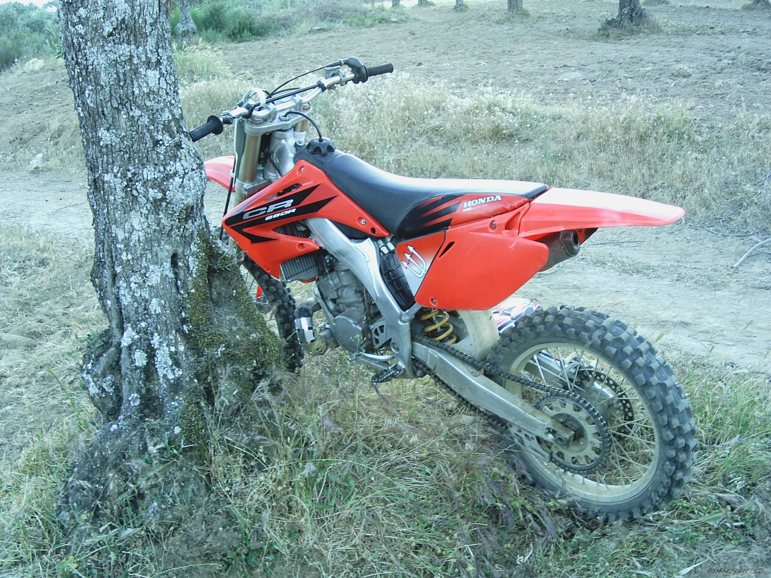 2002 HONDA CR 250 | Picture 599973 motorcycle photo