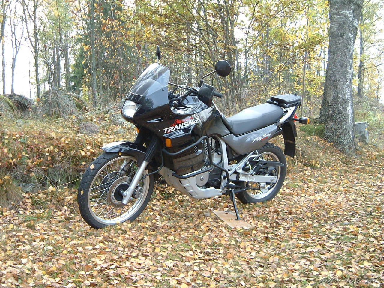 1998 HONDA XL 600V TRANSALP | Picture 601215 motorcycle photo
