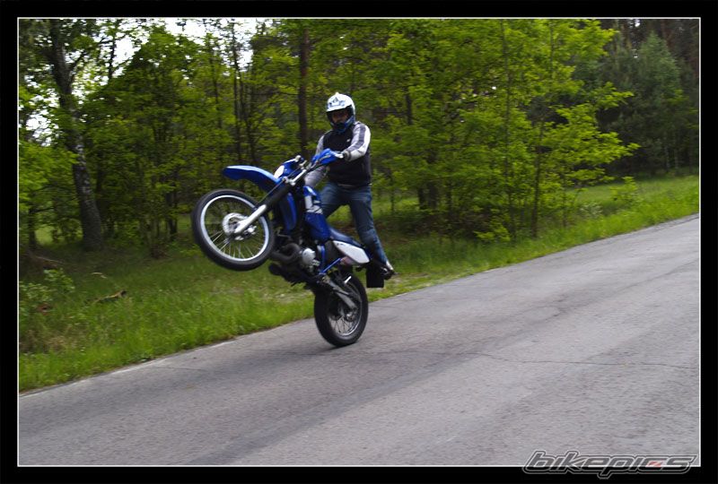 2004 YAMAHA DT 125 | Picture 601275 motorcycle photo