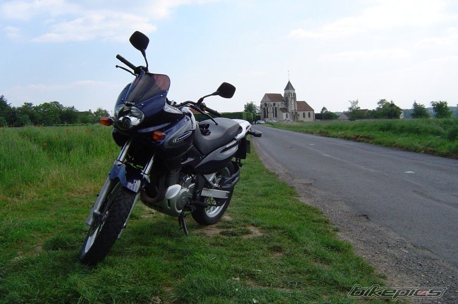 2005 SUZUKI XF 650 | Picture 601578 motorcycle photo