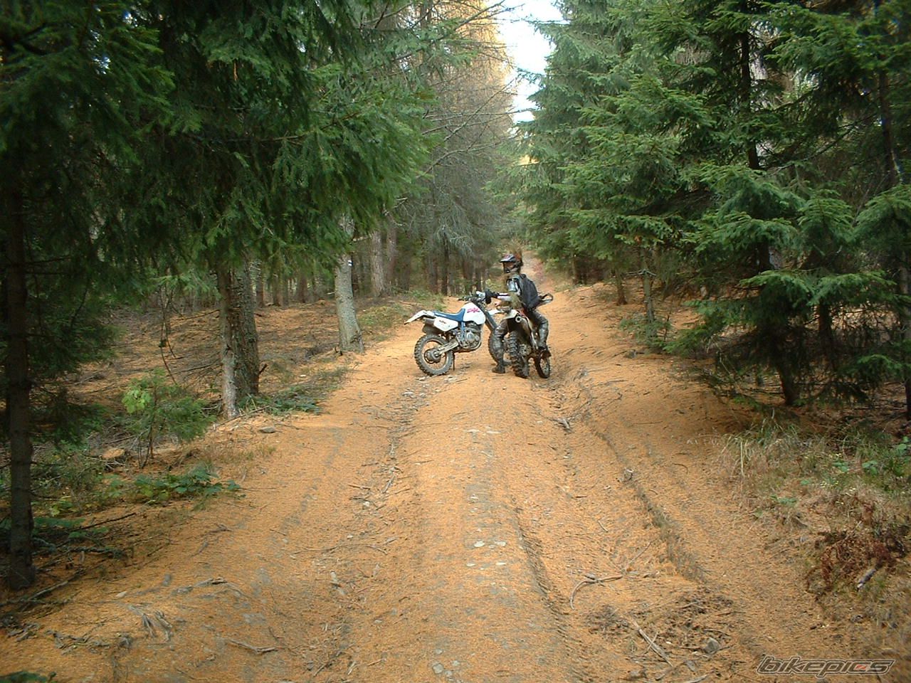 1993 SUZUKI DR 350 | Picture 601602 motorcycle photo