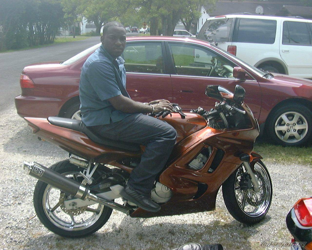 1998 HONDA CBR 600 | Picture 6018 motorcycle photo