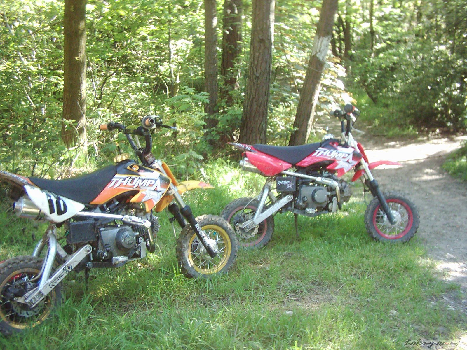 2006 THUMPSTAR THUMPSTAR 125 HUNGE | Picture 601864 motorcycle photo