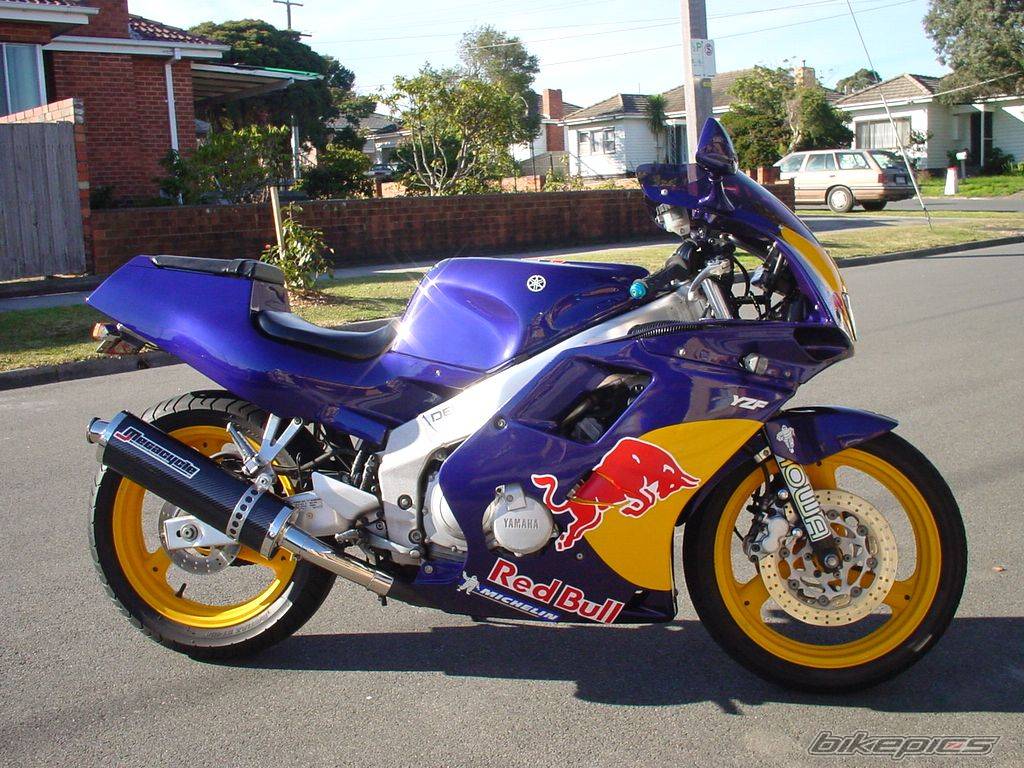 1992 YAMAHA FZR 250 | Picture 60215 motorcycle photo