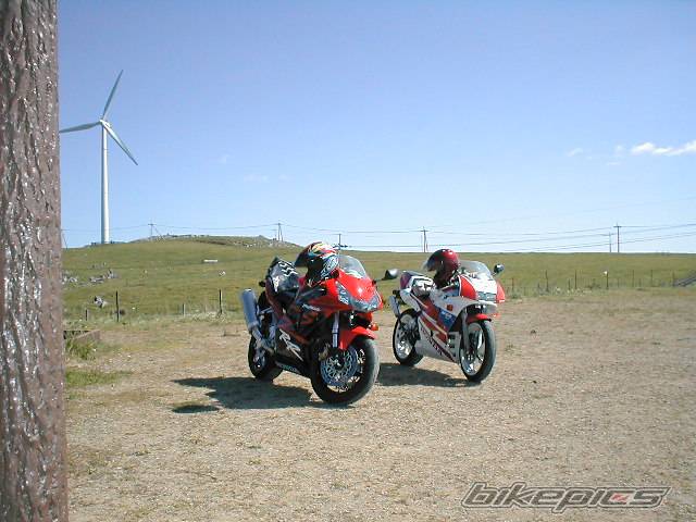 1991 HONDA NSR 250 | Picture 60219 motorcycle photo