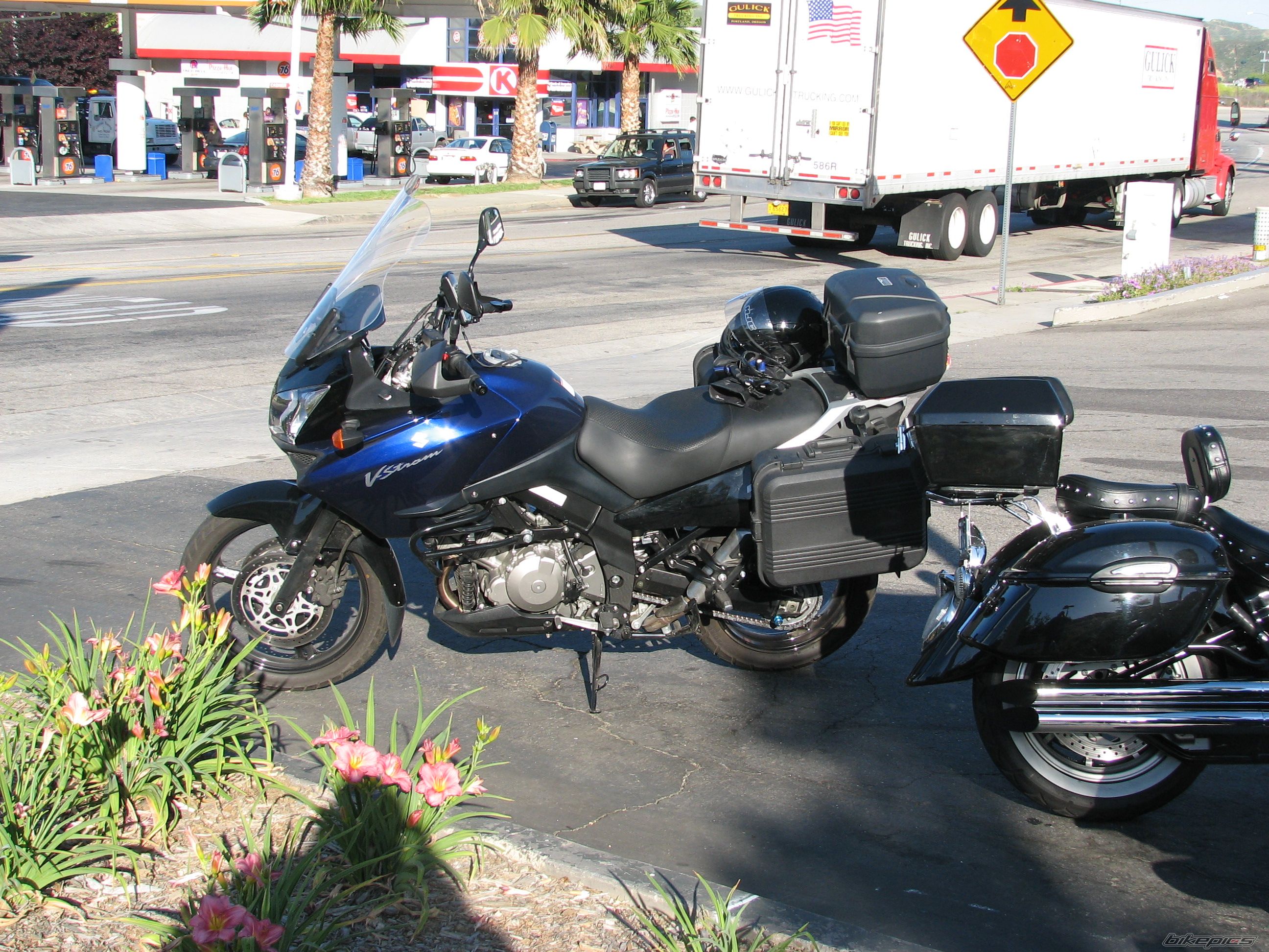 2005 SUZUKI DL 1000 | Picture 602259 motorcycle photo