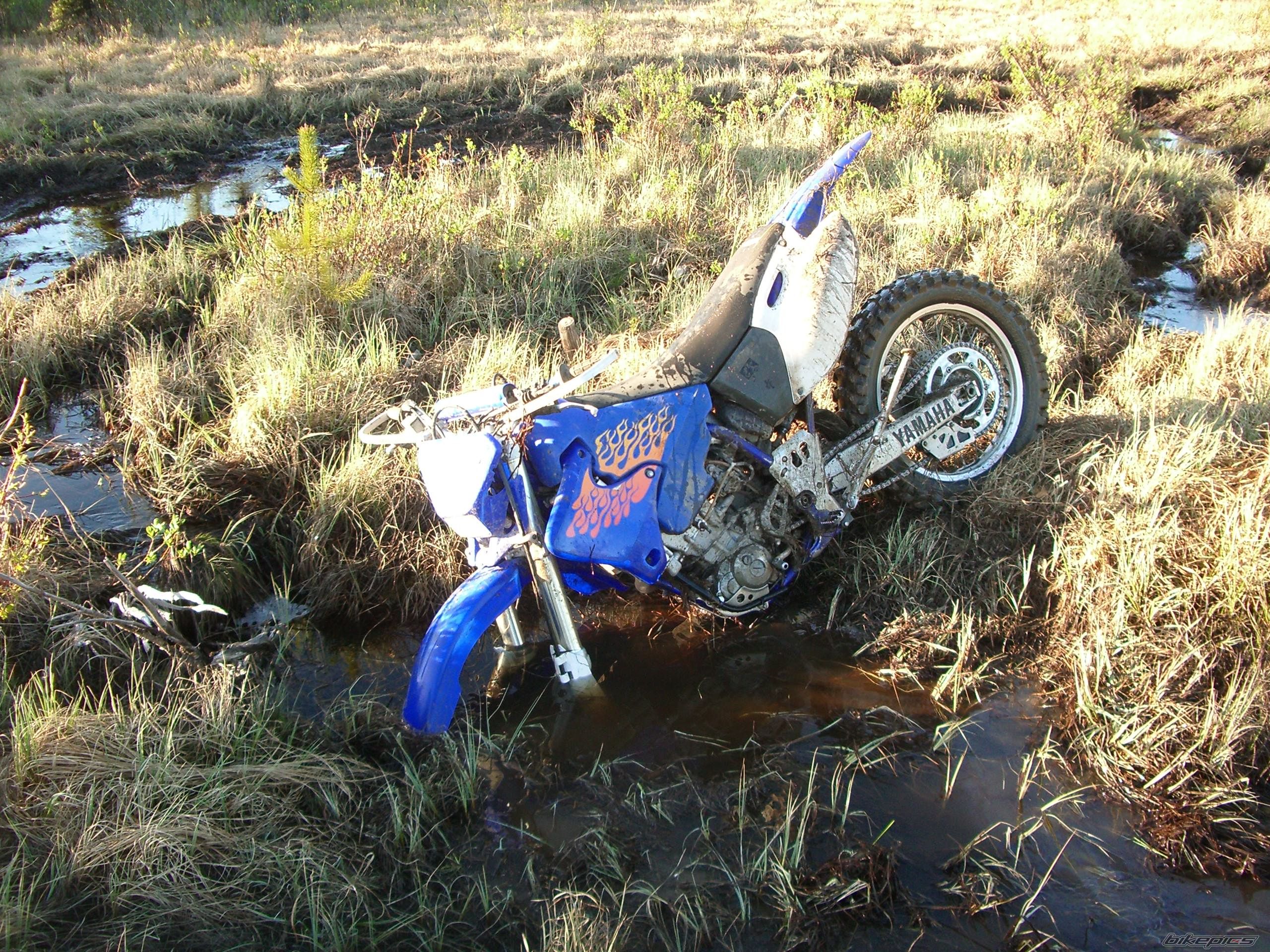 2001 YAMAHA WR 426F | Picture 602536 motorcycle photo