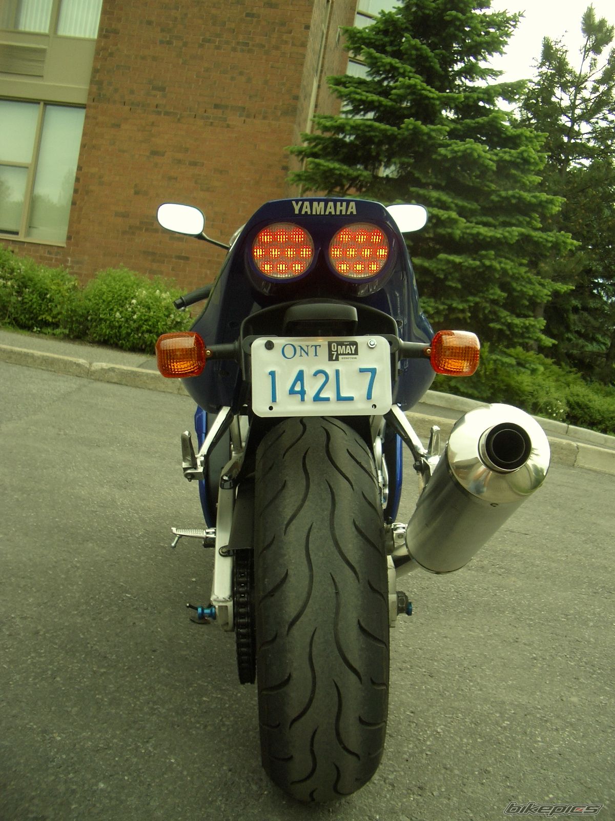 2001 YAMAHA YZF R6 | Picture 602891 motorcycle photo