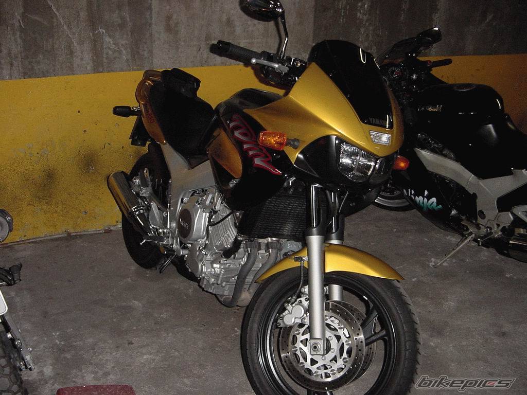 1998 YAMAHA TDM 850 | Picture 6031 motorcycle photo